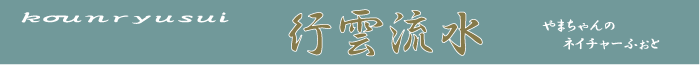 �^�C�g���@�s�_����
