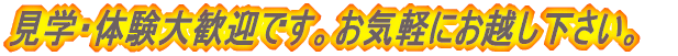 wĚ劽}ł 