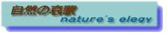 �قڊJ�X�I�i�摜�����N�؂ꂠ��j