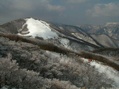 写真4 御在所岳 山頂 写真4