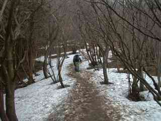 写真2 9合目 写真2