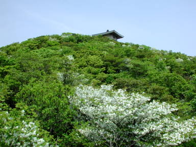写真5 御岳神社 写真5