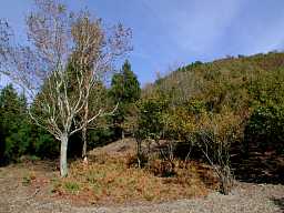 写真3 鞍部 写真3