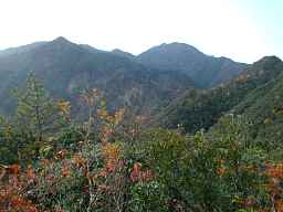 写真1 四方草山 写真1
