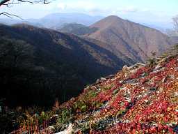 写真3 焼尾山から三国岳 写真3
