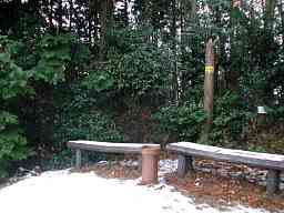 写真3 バンドウ山? 写真3