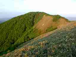 写真3 綿向山 写真3