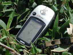 写真1 GPS 写真1