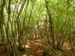 写真5 900m過ぎ 写真5