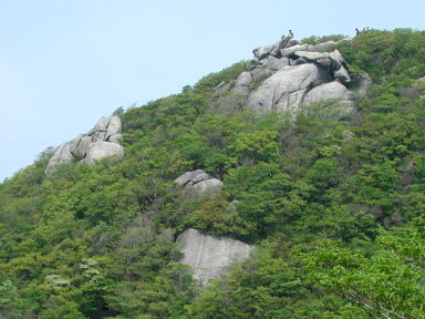 写真6 写真6