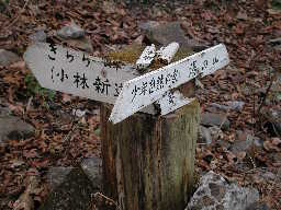 写真3 写真3