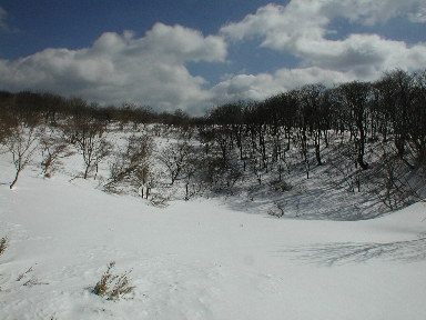 写真4 写真4