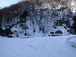 写真1 写真1