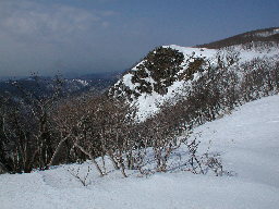 写真4 写真4