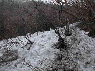 写真5 写真5