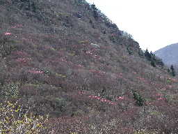 写真5 写真5