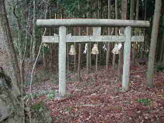 写真5 旧参道の鳥居 写真5