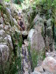 写真6 固定ロープ 写真6