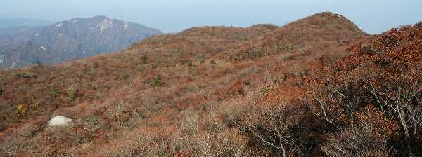 写真5 青岳と釈迦ヶ岳 写真5
