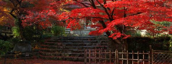 写真1 聖宝寺にて 写真1