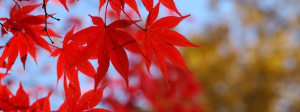 写真2 聖宝寺にて 写真2