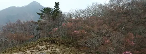 写真3 尾根上にて 背後は鎌ヶ岳 写真3
