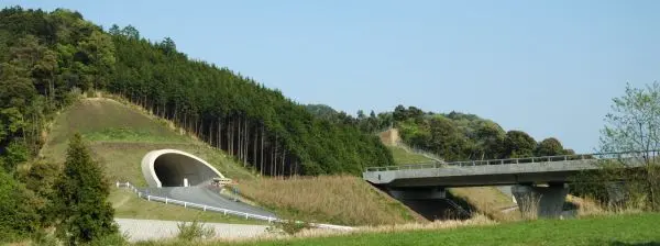 写真8 写真8