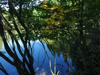 写真7 水舟ノ池 写真7