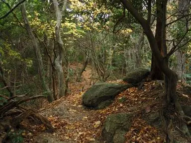 写真2 割谷の道 写真2