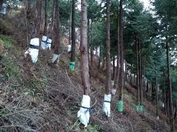 今須山 写真5