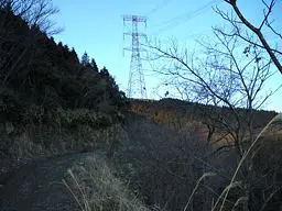ボンテン 写真10