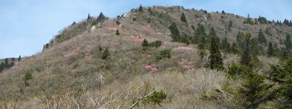 峠道上部 写真7