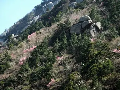 御在所岳 写真5
