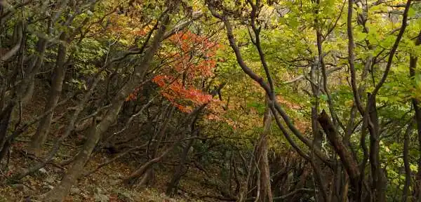井戸谷 写真5