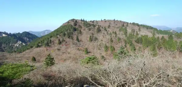 宮指路岳 写真5
