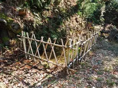 御池 写真2