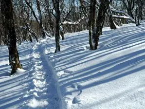 写真5 天狗岩から帰る 写真5