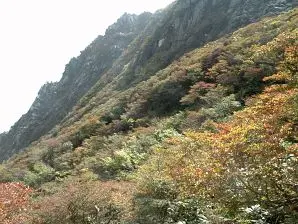 写真14 写真14