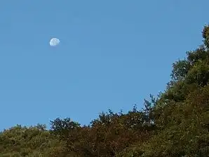 写真2 写真2