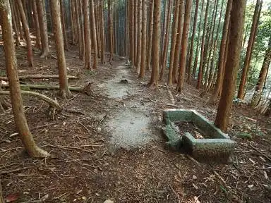 写真8 三岳寺跡 写真8