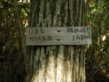 写真11 分岐の標識 写真11