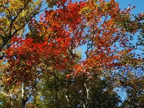 写真12 写真12