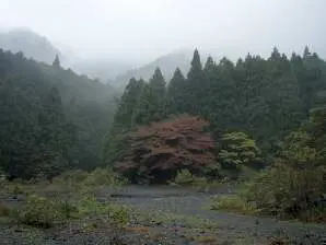 写真1 広河原 写真1