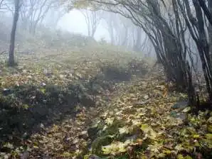 写真3 井戸谷登山道上部 写真3