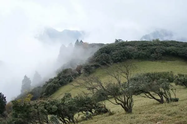 写真4 入道ヶ岳山頂にて 写真4