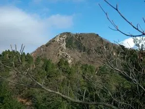 写真2 ハライド 写真2