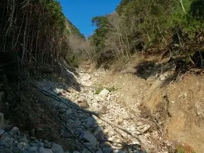 写真4 土石流の谷・上流側 写真4