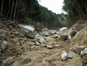 写真10 下流を見る 写真10