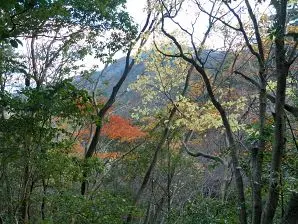 写真12 割谷道 写真12