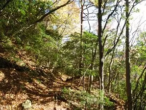 写真13 割谷道 写真13